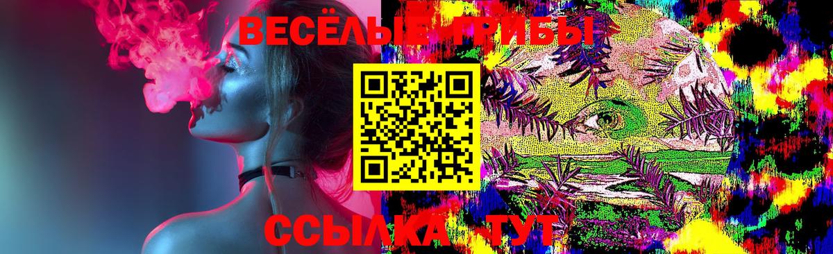 купить закладку  Вход с VPN  Городец  Псилоцибиновые грибы Magic Shrooms 